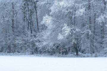 OLYMPUS DIGITAL CAMERA © Ela