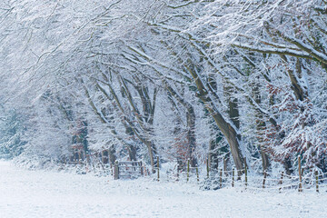 OLYMPUS DIGITAL CAMERA © Ela