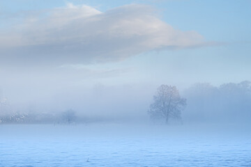 OLYMPUS DIGITAL CAMERA © Ela