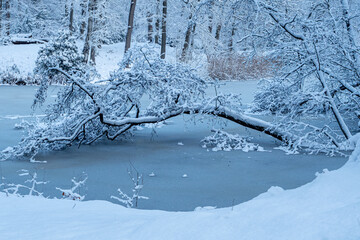 OLYMPUS DIGITAL CAMERA © Ela