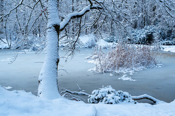 OLYMPUS DIGITAL CAMERA © Ela