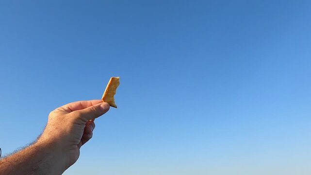 Hand-feeding seagulls on the Keramoti - Thassos ferry line, a long-standing tourist attraction; a piece of biscuit is missing and the first seagull gives up on the approach, the second takes the biscu