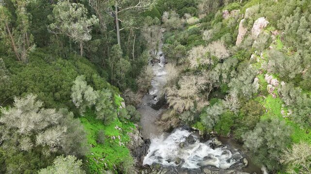 Cascata agua floresta tipico rocha landscape