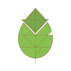 Obraz premium vector green leaf isolated on white