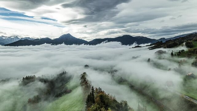 Rolling green hills and foest overlooking thick clou layer aerial view