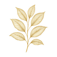 Fototapeta premium PNG Elegant golden leaf illustration.