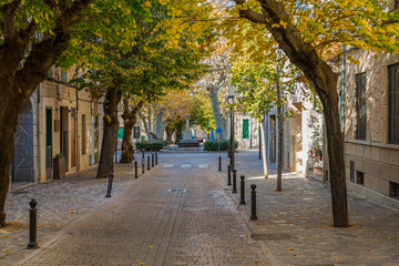 Fototapeta premium Sunny day in Soller, Mallorca, featuring a picturesque tree-lined avenue with no tourists. The peaceful atmosphere highlights charming architecture and the relaxed Mediterranean character of the town.