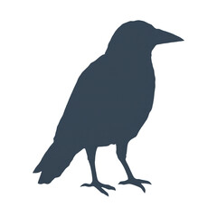 Obraz premium PNG Silhouette of standing crow