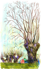 Illustration of Pollarded Trees and Red Barn