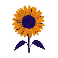 Fototapeta premium PNG Vibrant sunflower illustration design