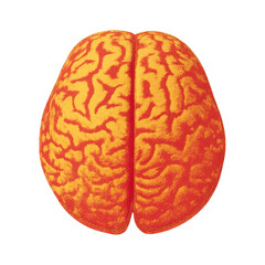 Obraz premium PNG Vibrant brain illustration design