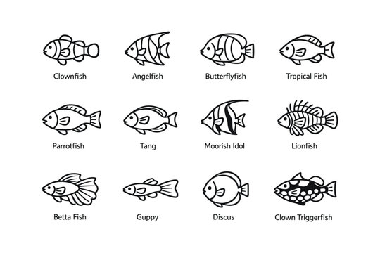 Aquarium fish varieties: clownfish, angelfish, tang, lionfish, discus line art