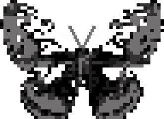 Fototapeta premium Retro halftone butterfly collection