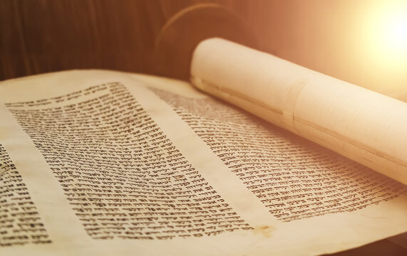 Hebrew religious handwritten Torah parchment scroll, close up