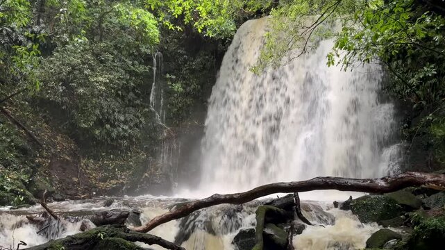 Matai Falls