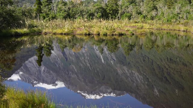 Reflection of Franz Josef Glacier, New Zealand