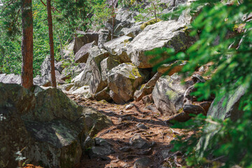 Fototapeta premium Rocky hiking trail winding through forest with large stones, roots and trees. Mountain woodland summer landscape in natural light. Outdoor travel, tourism, adventure, nature and exploration themes.