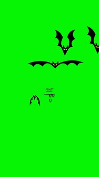 Swarm of bats flying across green screen background for vertical display