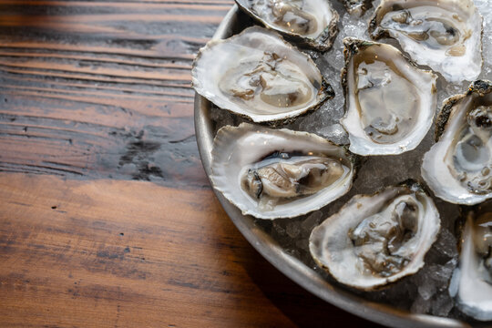 Oysters