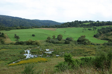 Landscape of former, abandoned village Nieznajowa in Beskid Low Mountains, Poland