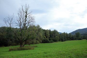 Landscape of former, abandoned village Tworylne in Bieszczady Mountains, Poland