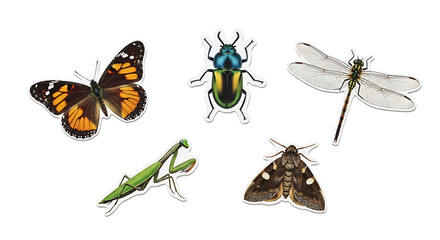 Isolated Cutout Elements on White Background &ndash; Animals, Insects, Flowers and Symbols