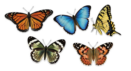 Isolated Cutout Elements on White Background &ndash; Animals, Insects, Flowers and Symbols