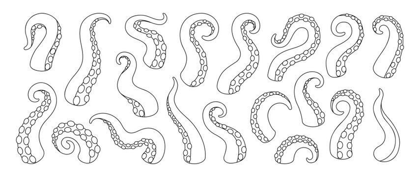 Cartoon octopus tentacles with suction cups. Curled squid arms for sea monster, nautical fantasy and underwater marine design