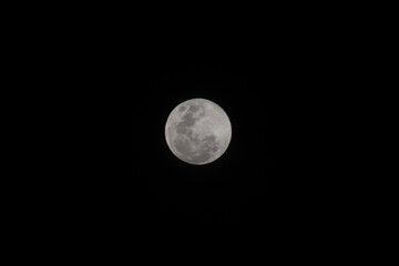 Fototapeta premium Full moon in the night sky