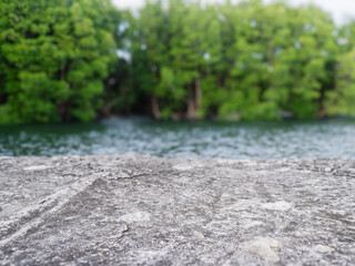 Fototapeta premium Grey stone surface with blurred river and forest background. Ideal for natural product display, organic tabletop mockups, and outdoor presentation