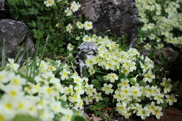 Obraz premium A fairy tale scene of a woman being thoughtful among flowers