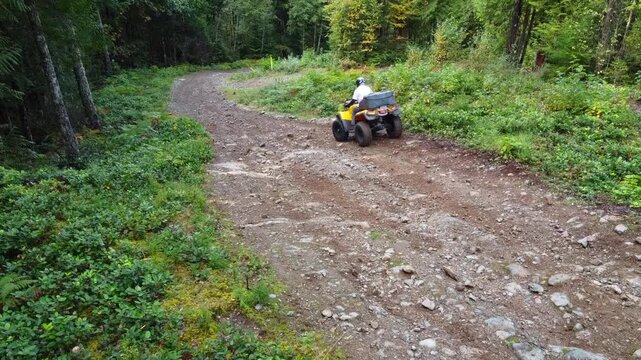 Man on an ATV driving down a bumpy gravel road in a lush green forest