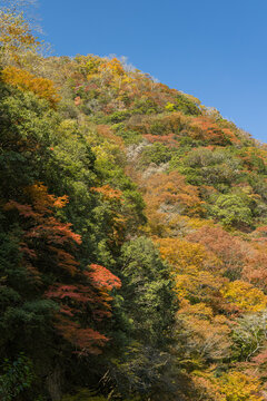 日本　岡山県真庭市にある神庭の滝自然公園内の紅葉