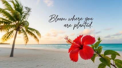 Vibrant red hibiscus bloom on a serene tropical beach with ocean and palm trees