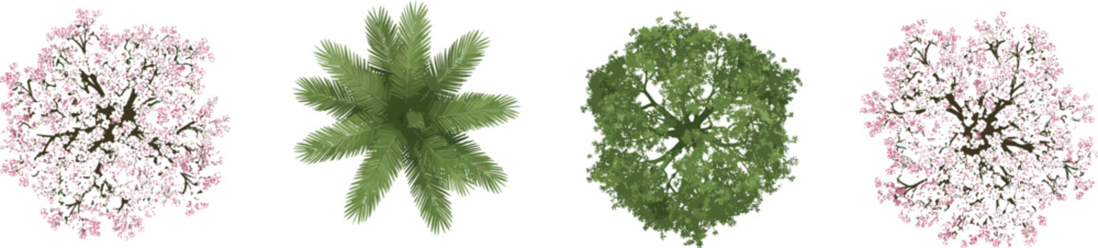 Top view trees collection with cherry blossom and palm, detailed vector illustrations for landscape design, garden maps, and outdoor scenes