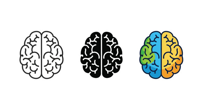 Collection of three distinct human brain illustrations showing outline solid and multicolored lateralization concept art