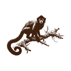 Obraz premium Monkey sitting on tree branch