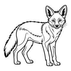 Jackel illustration vector style coloring page