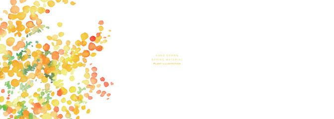 水彩画。水彩タッチの春のミモザフレーム。ミモザのベクターイラスト。春の植物背景。Watercolor painting. Spring mimosa frame with watercolor touches. Vector illustration of mimosa. Spring botanical background.