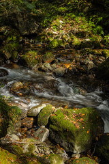 日本　岡山県真庭市にある神庭の滝自然公園内を流れる川