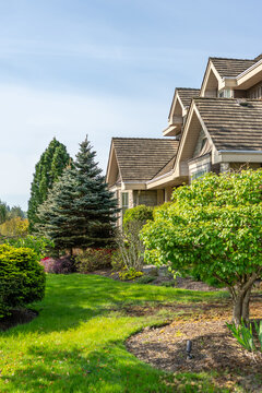 Outdoor landscape with green lawn, red rose and green background in Vancouver, Canada, North America. Sunny. Day time on April 2025.