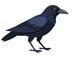 crow on a white background