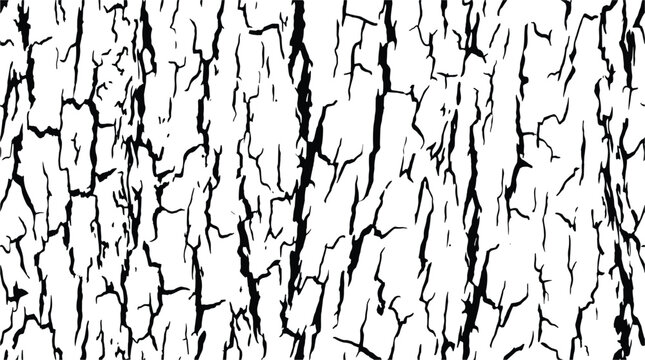 Ironbark tree bark texture in black and white pattern background.