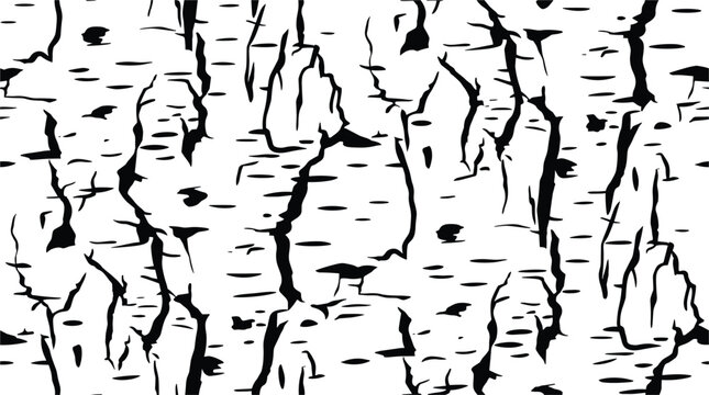 Monochrome bark texture. Birch bark pattern, graphic nature illustration.