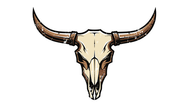 Cow Skull with Long Horns Illustration.