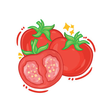 illustration art hand drawn tomato icon sute sticker design