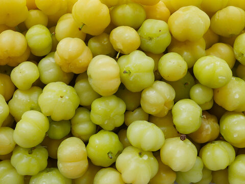 Fresh star gooseberry Fruit Background for Health and Herbal Concept