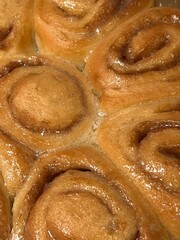 Cinnamon rolls in a tray