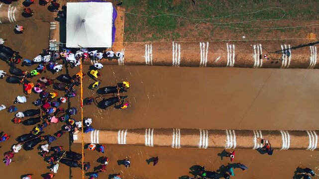 Kambala, Katapadi Kambala, Katapadi Beedu Kambala, Udupi, Tulunadu Culture 