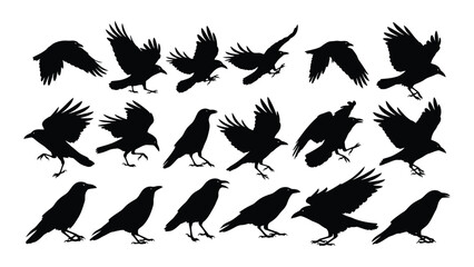 Obraz premium A diverse collection of black silhouettes of birds in various poses and positions. Vector
